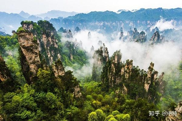 专门从事国内外旅游业务入境旅游业务,经营旅游产品,酒店及车